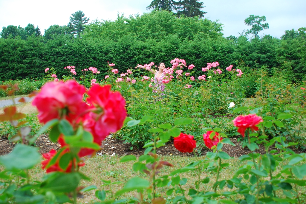 DSC_1561.JPG